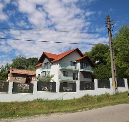 Pensiunea Albero Curtea de Argeş Exterior foto